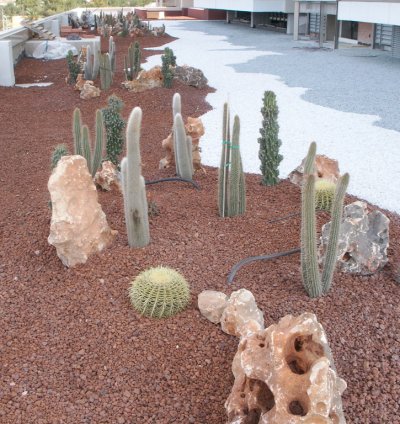 Red Lava Gravel Rocks